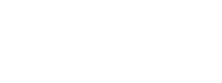 Trusted partner logo